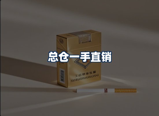 专业团队办公环境